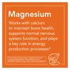 Magnesium Inositol Relax, Lemonade, 16 oz (454 g) image 3
