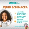 Kids, Liquid Echinacea, Orange, 2 fl oz (59 ml) image 4