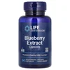 Blueberry Extract Capsules, 60 Vegetarian Capsules image 1