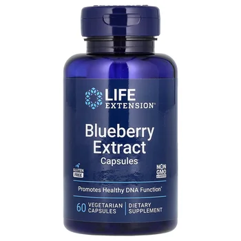Blueberry Extract Capsules, 60 Vegetarian Capsules