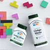 Ginkgo Biloba Extract, Standardized, 200 Vegetarian Capsules (60 mg per Capsule) image 3