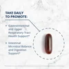 CandiBactin-AR®, Gut Health, 60 Softgels image 3