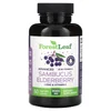 Advanced Sambucus Elderberry + Zinc & Vitamin C, 60 Vegetable Capsules