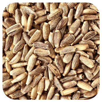 Organic Milk Thistle Seed, 1 lb (453.6 g)