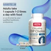 Citicoline, CDP Choline, 250 mg, 120 Capsules image 5