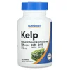 Kelp, 325 mcg, 240 Tablets image 1