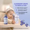 Organic Elderberry Drops, 6+ Months, Yummy Grape, 2 fl oz (60 ml) image 5
