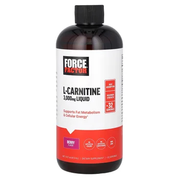 L-Carnitine Liquid, Berry, 3,000 mg , 16 fl oz (473 ml)