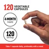Chaga, 500 mg, 120 Vegetable Capsules image 4