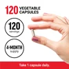 Ginkgo Biloba, 120 mg, 120 Vegetable Capsules image 4