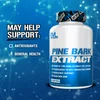 Pine Bark Extract, 90 Veggie Capsules (240 mg per Capsule) image 3
