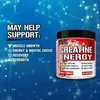 Creatine Energy™, Fruit Punch, 9.95 oz (282 g) image 3