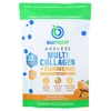 Ageless Multi Collagen® + Turmeric, Golden Milk, 10.7 oz (304 g)