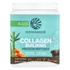 Collagen Building Protein Peptides, Chocolate Fudge, 1.1 lb (500 g)