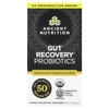 Gut Recovery Probiotics, 60 Capsules image 1