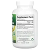 Alpha Lipoic Acid, 600 mg, 240 Capsules image 2
