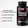 Fundamentals, Tribulus Terrestris, 60 Capsules image 4