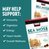 Fundamentals, Sea Moss, Salted Caramel, 30 Soft Chews (250 mg per Chew) image 3