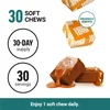 Fundamentals, Sea Moss, Salted Caramel, 30 Soft Chews (250 mg per Chew) image 4