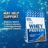 100% Whey Protein, Double Rich Chocolate, 1 lb (454 g) image 3