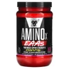 AminoX, EAAs, Muscle Support & Recovery, Watermelon Smash, 13.2 oz (375 g) image 1