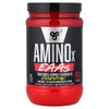 AminoX®, EAAs, Strawberry Dragon Fruit, 13.2 oz (375 g)