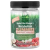 Apple Cider Vinegar + Metabolism Gummies, Apple, 40 Gummies (500 mg per Gummy) image 1