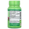 Milk Thistle Seed, 1,000 mg, 100 Quick Release Capsules image 2