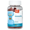 Immunity, With Elderberry, Zinc and Vitamin C, Flavored, 60 Gummies image 1