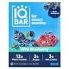 Plant Protein Bars, Wild Blueberry, 12 Bars, 1.6 oz (45 g) each image 1