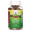 Kids Elderberry Gummies, Raspberry , 60 Gummies image 1