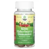 Kids Elderberry Gummies, Raspberry, 30 Gummies image 1