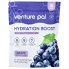 Hydration Boost, Electrolyte Drink Mix, Grape, 16 Stick Packs, 0.32 oz (9 g) Each image 1