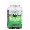 Kids Iron Gummies, Grape , 60 Gummies image 1