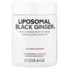 Liposomal Black Ginger, 90 Vegetable Capsules (500 mg per Capsule) image 1