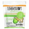Organic Sweet Ginger Pear, 33 Lozenges image 1