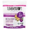 Organic Sweet Blackberry Ginger, 33 Lozenges image 1