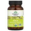 Amla, 90 Vegetarian Caps (500 mg per Capsule)
