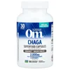 Chaga, 90 Vegetable Capsules (666 mg per Capsule )