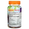 Elderberry Gummies, 36 Gummies image 2